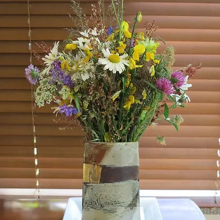 地平线住宿加早餐旅馆